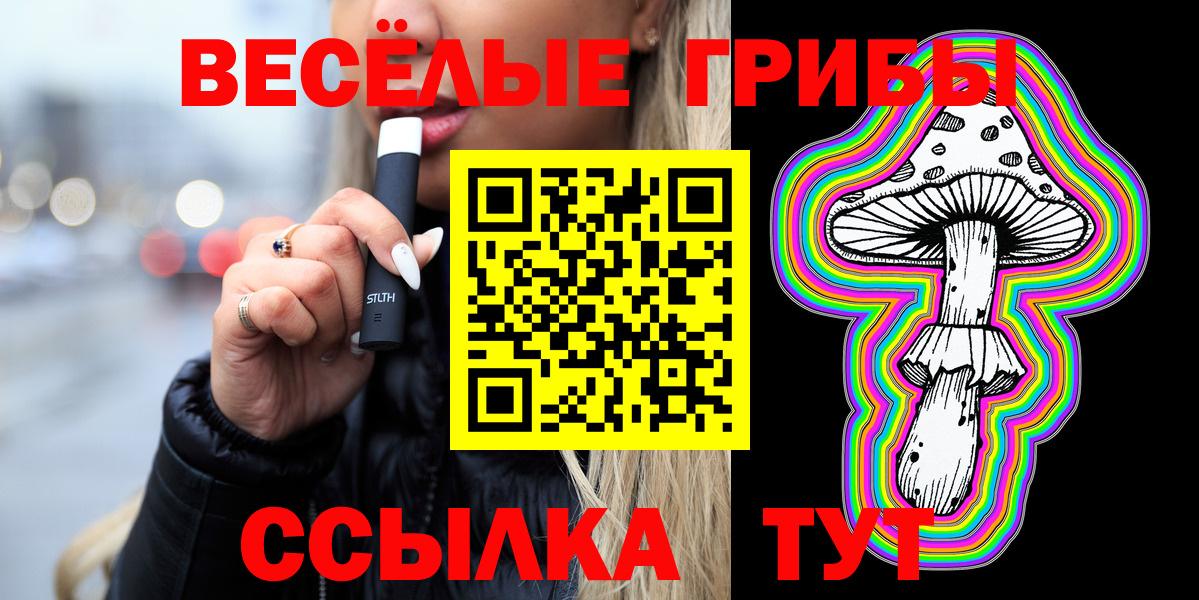 где продают наркотики  Вход с VPN  Мурино  Псилоцибиновые грибы Cubensis 